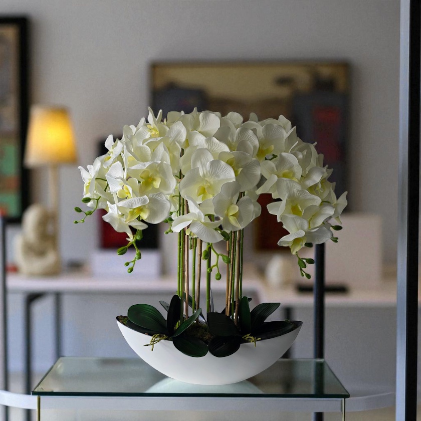 Orchidėja Vanilė - Image 2