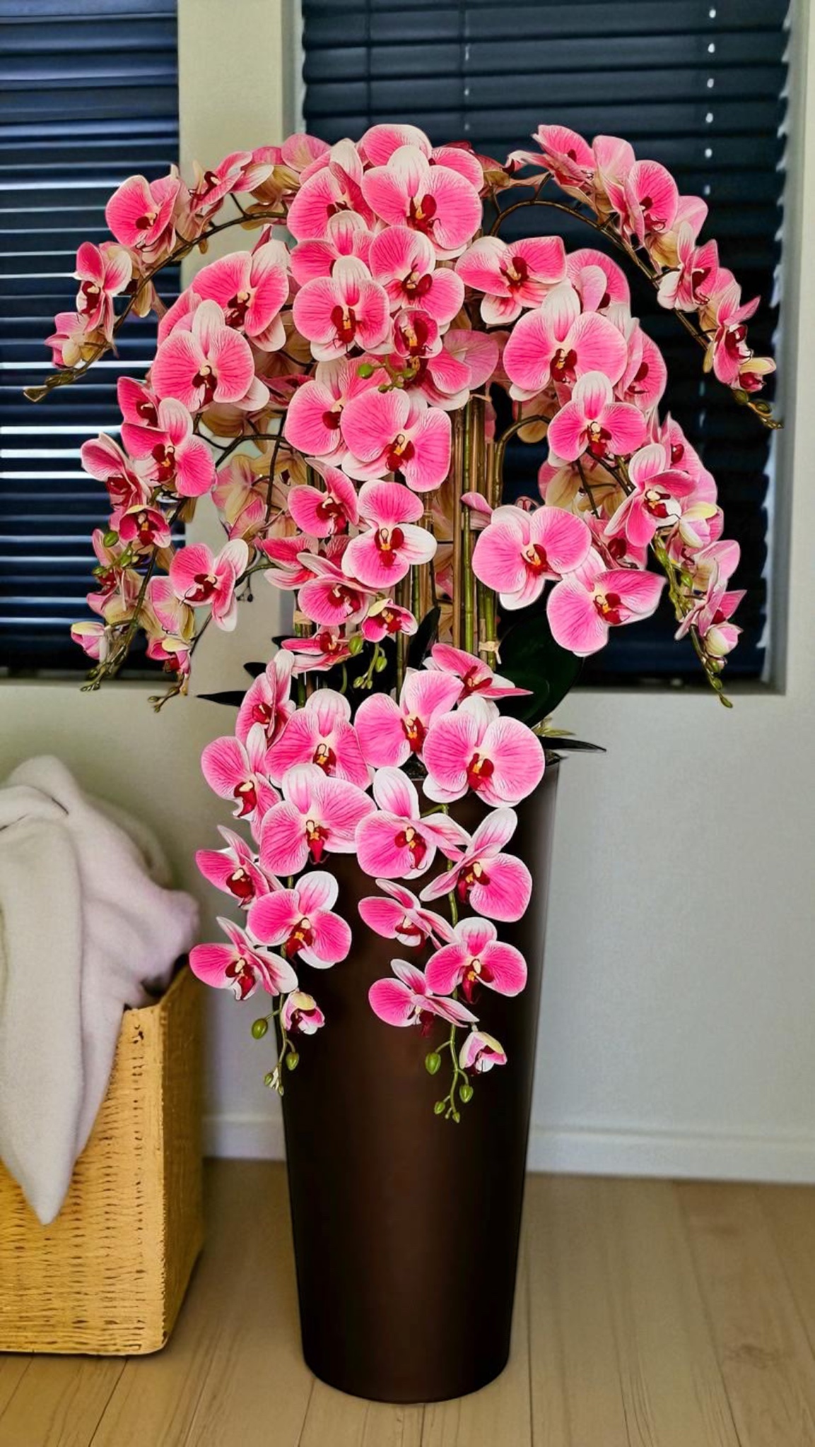 Orchidėja Guoda - Image 3
