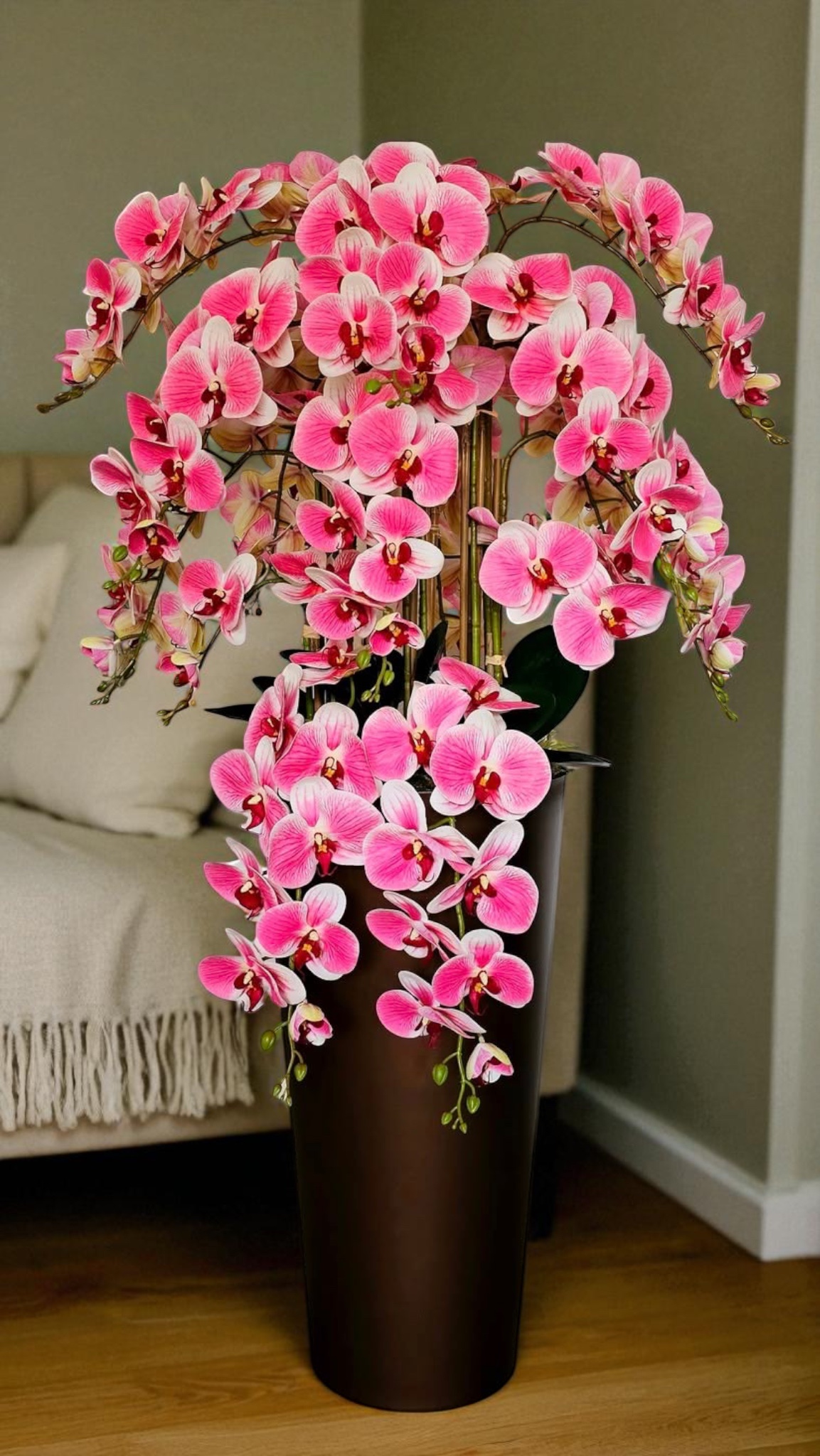 Orchidėja Guoda - Image 4