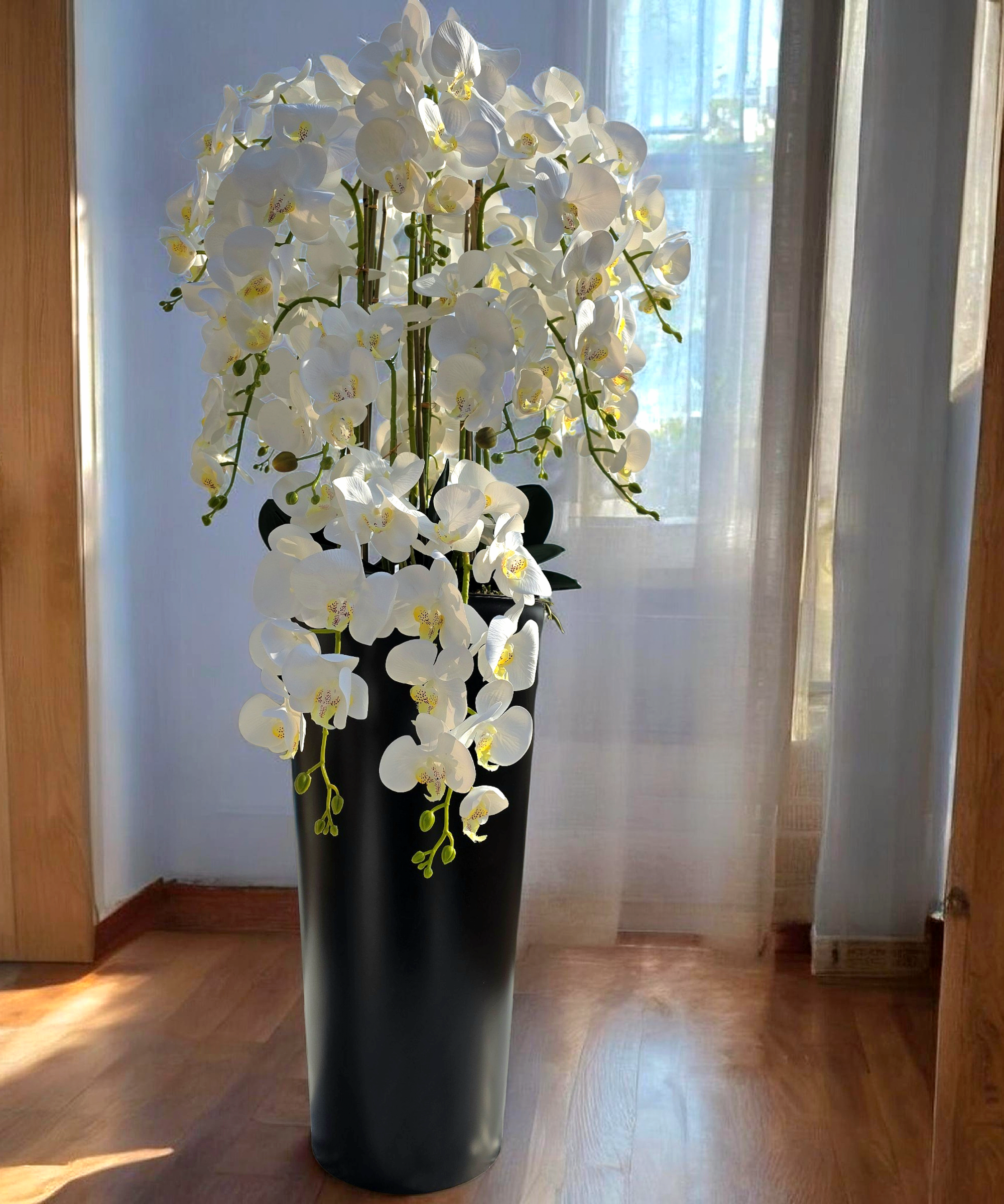 Orchidėja Ernesta - Image 2