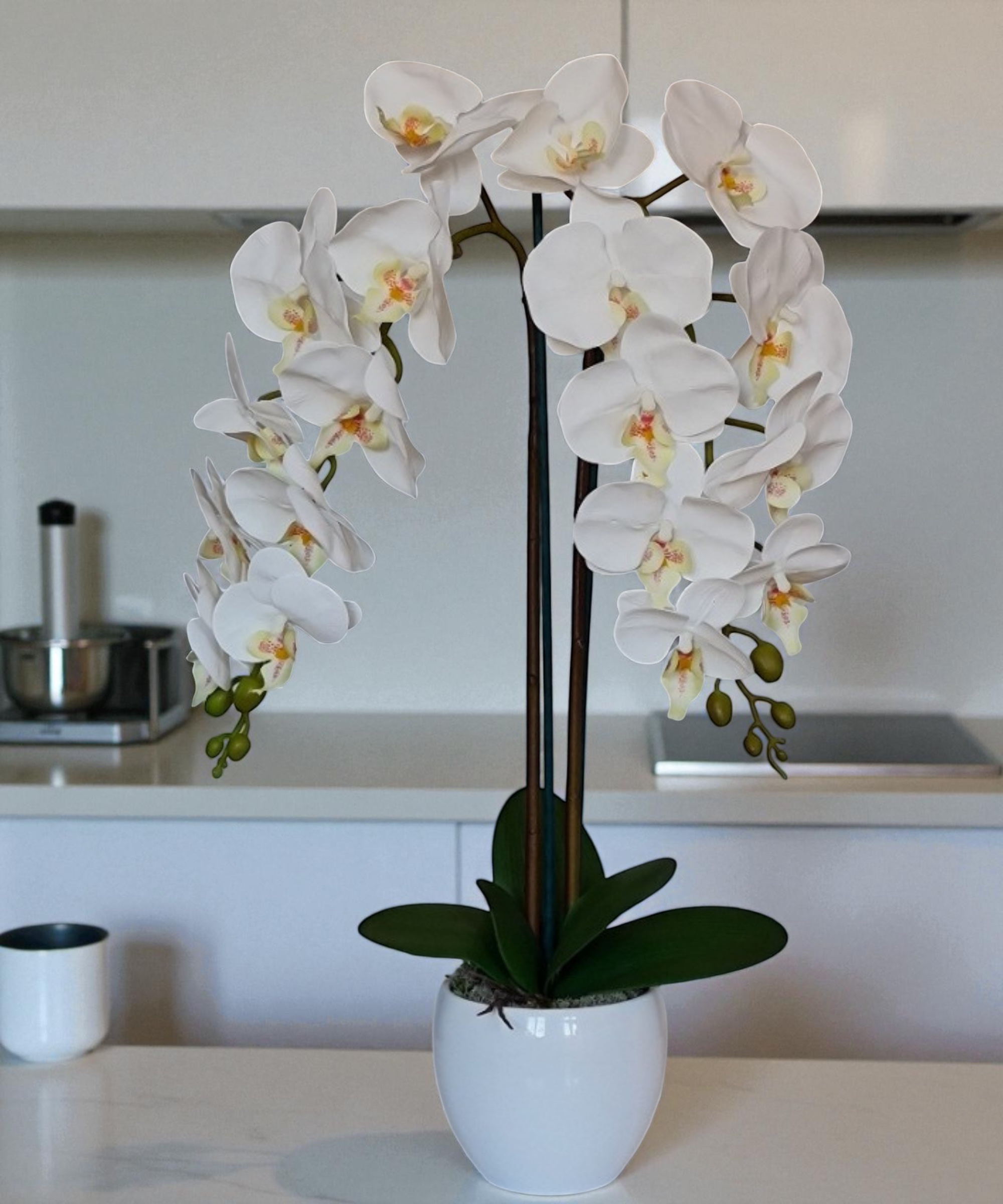 Orchidėja Gintarė