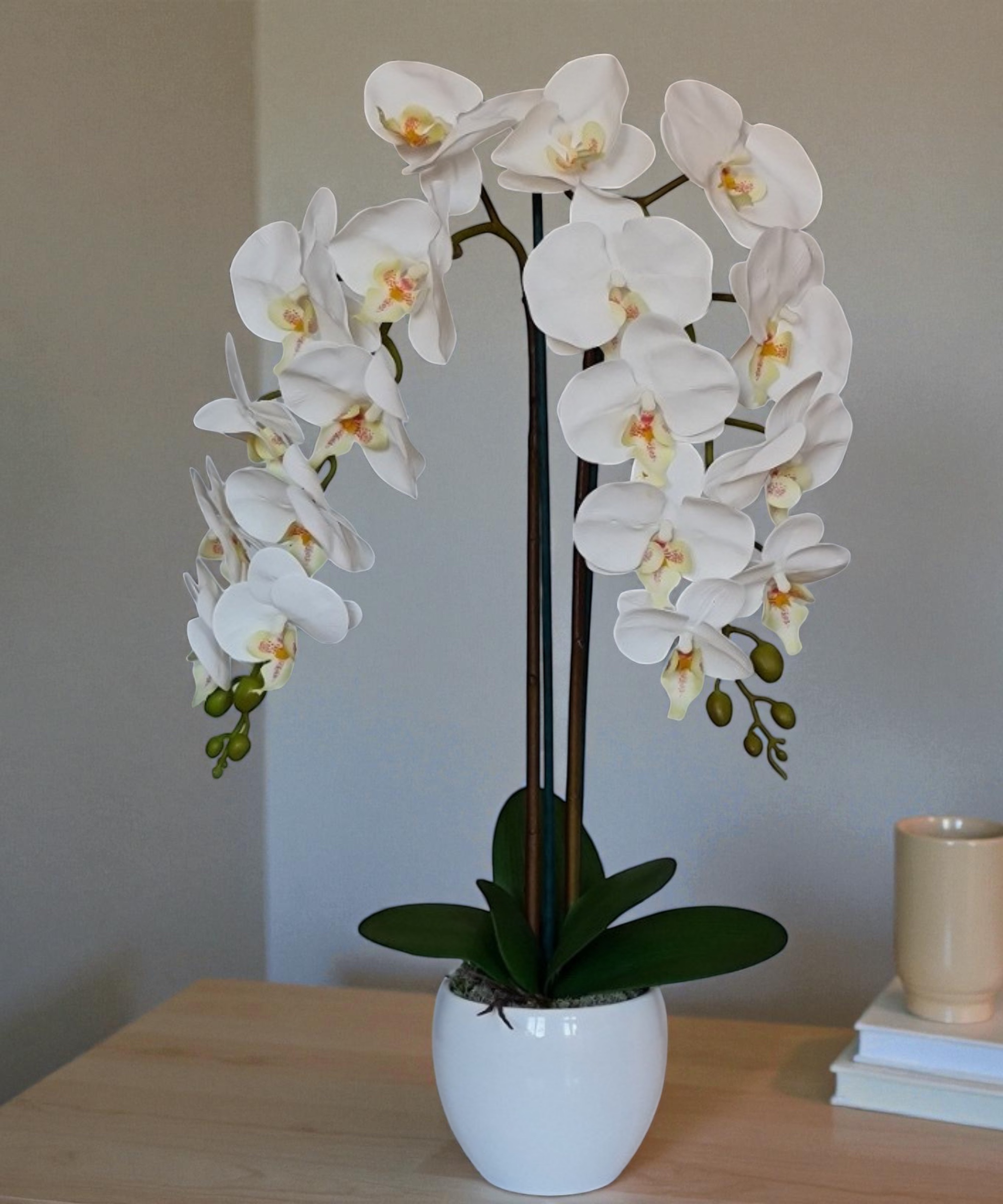 Orchidėja Gintarė - Image 2