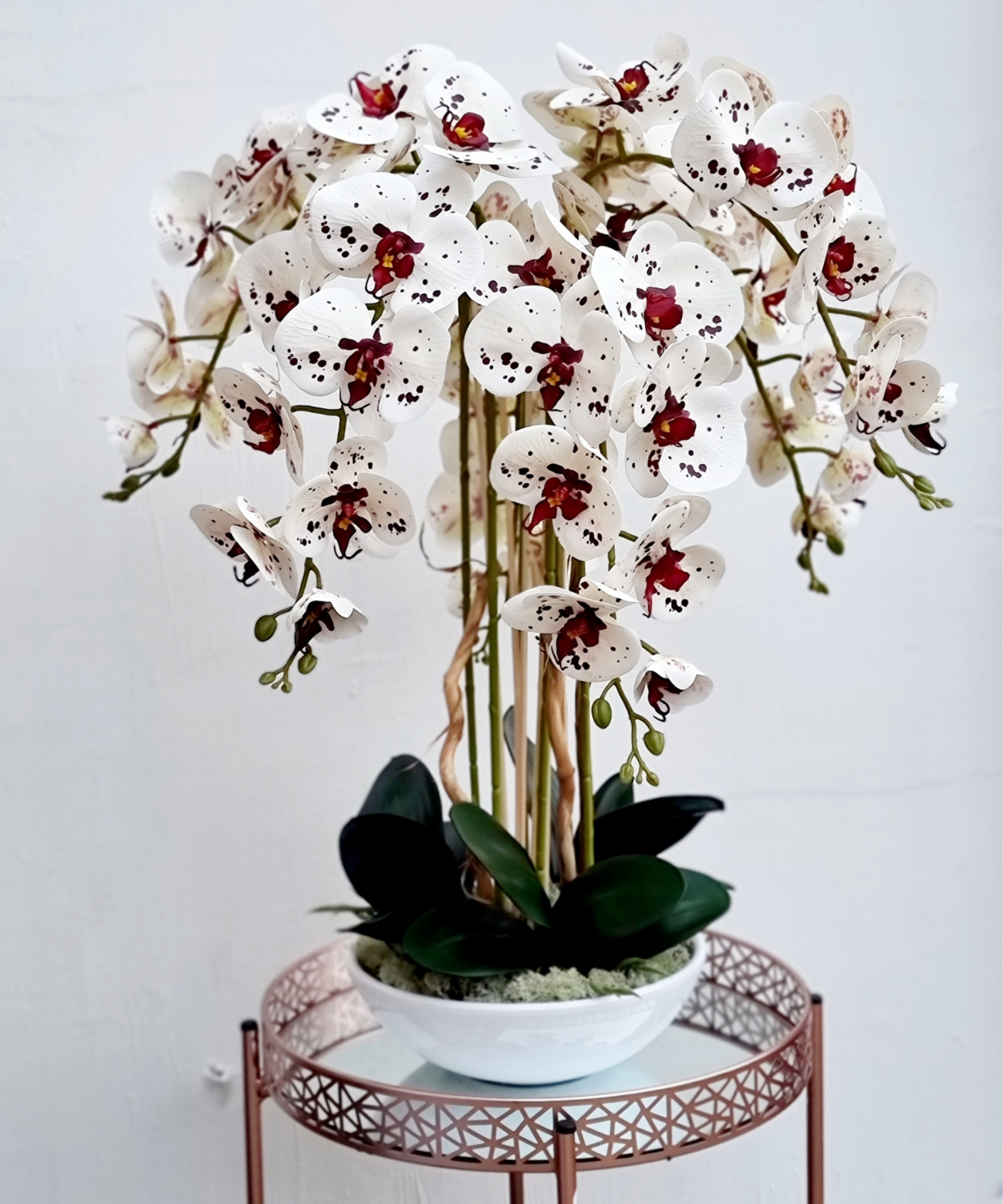 Orchidėja Kamilė