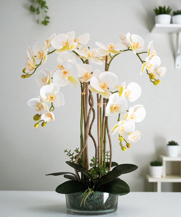 Orchidėja Austėja