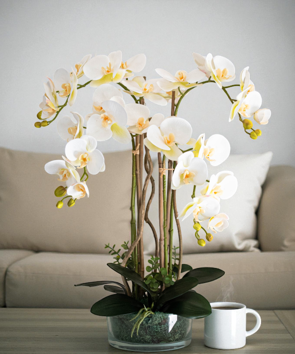 Orchidėja Austėja - Image 2
