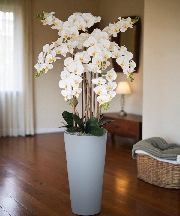 Orchidėja Aušra