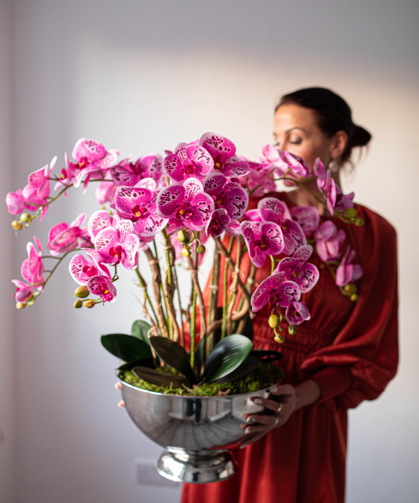 Orchidėja Simona