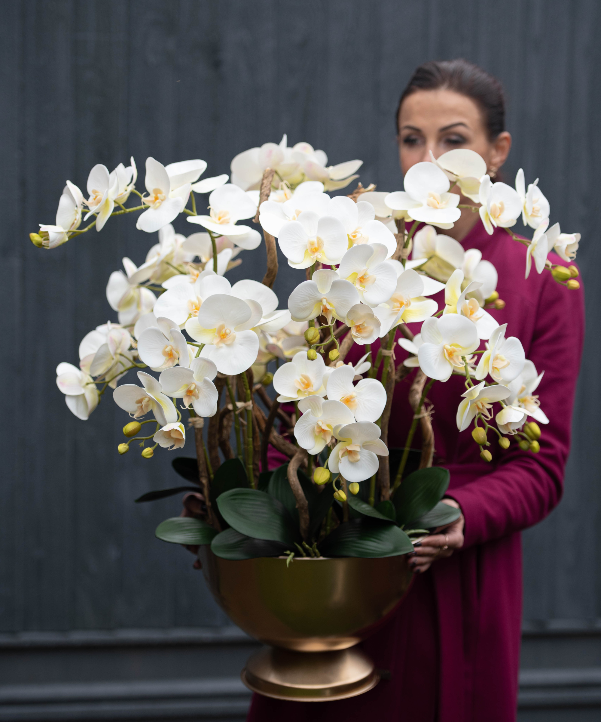 Orchidėja Laura - Image 2