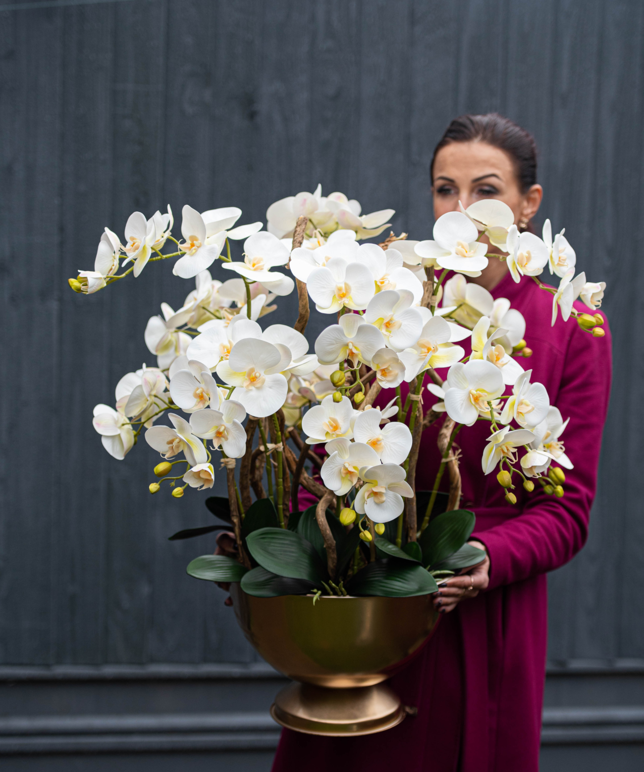 Orchidėja Laura