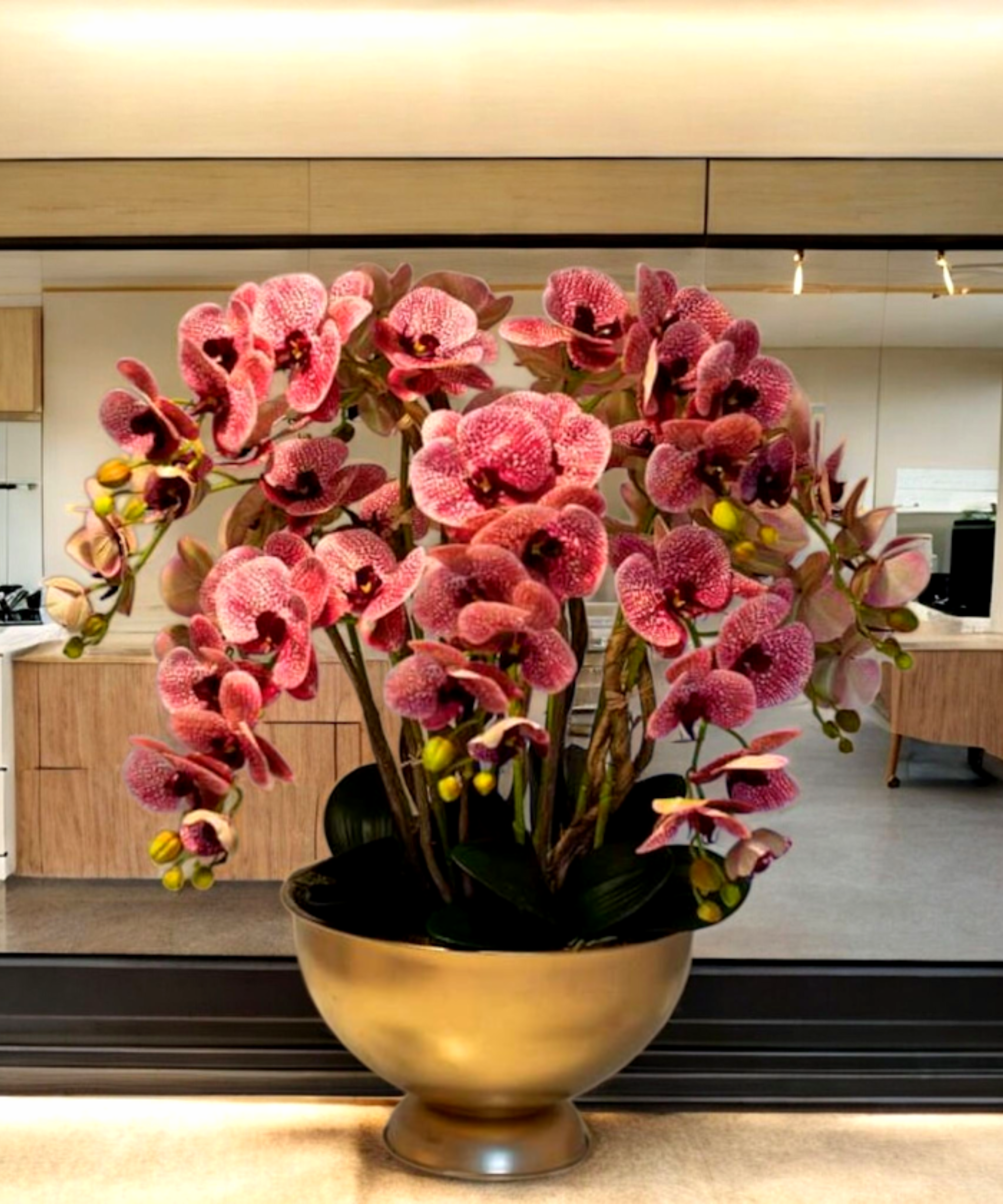 Orchidėja Ernesta - Image 3