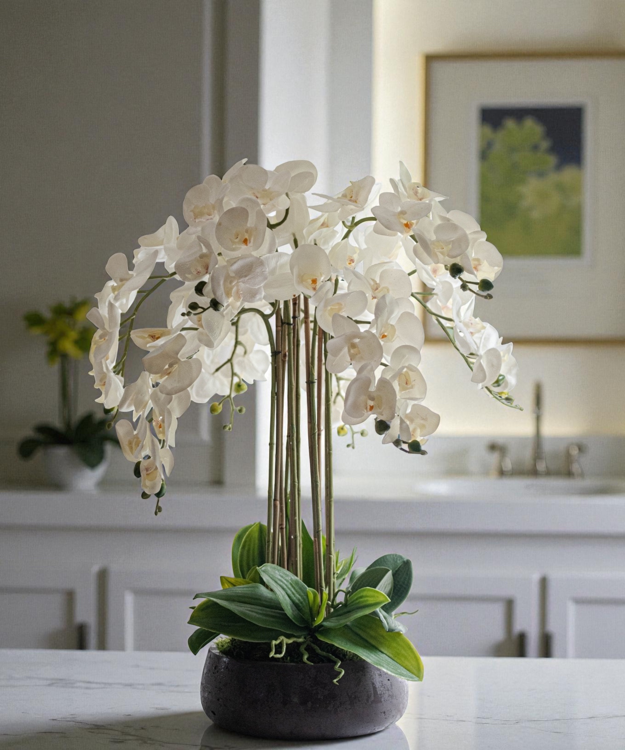 Orchidėja Rasa - Image 3