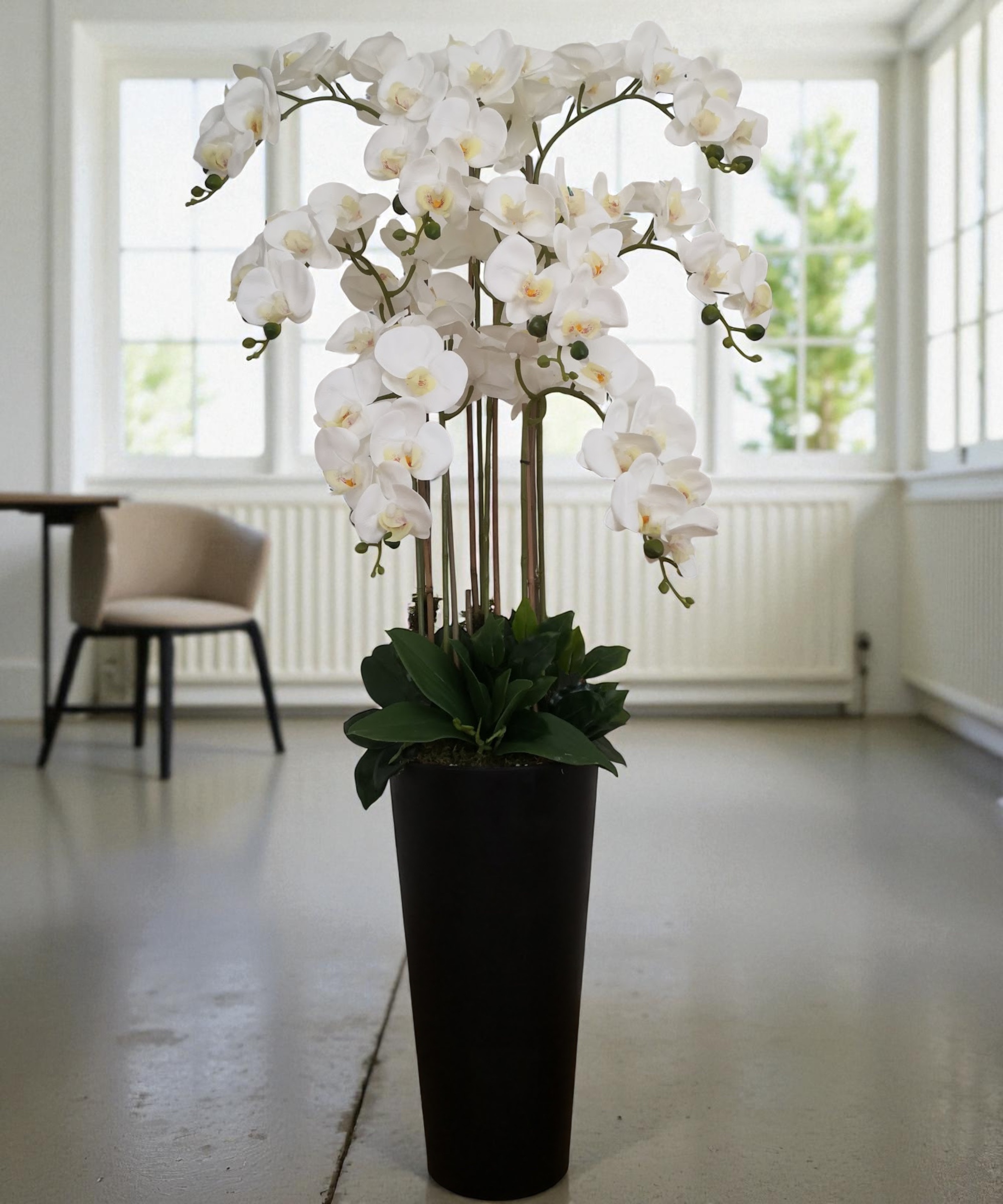 Orchidėja Deimantė - Image 2