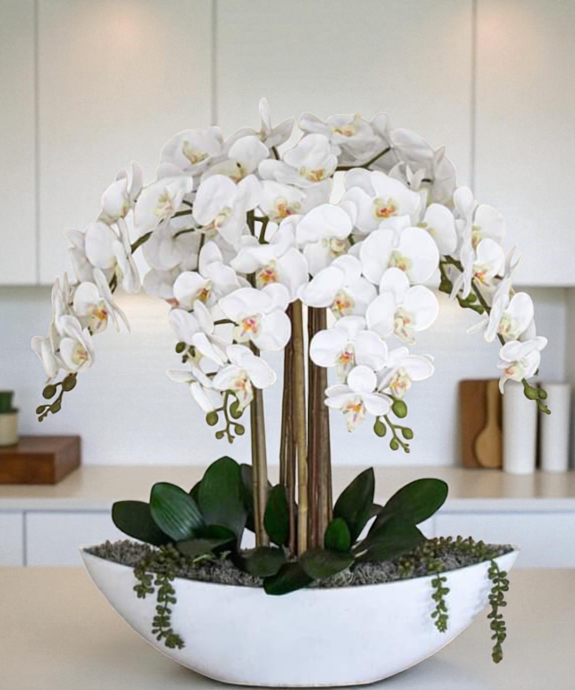 Orchidėja Lėja