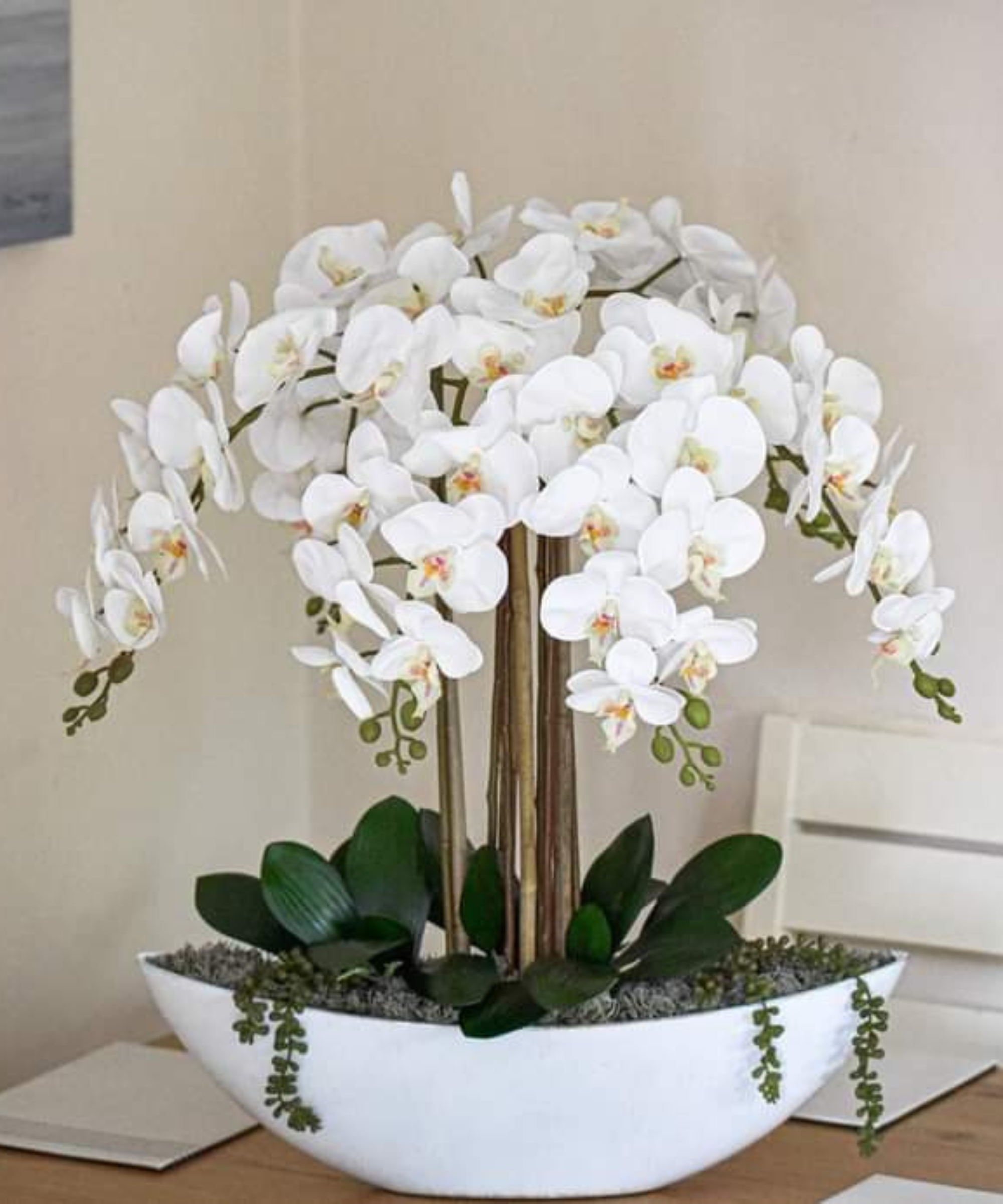 Orchidėja Lėja - Image 4