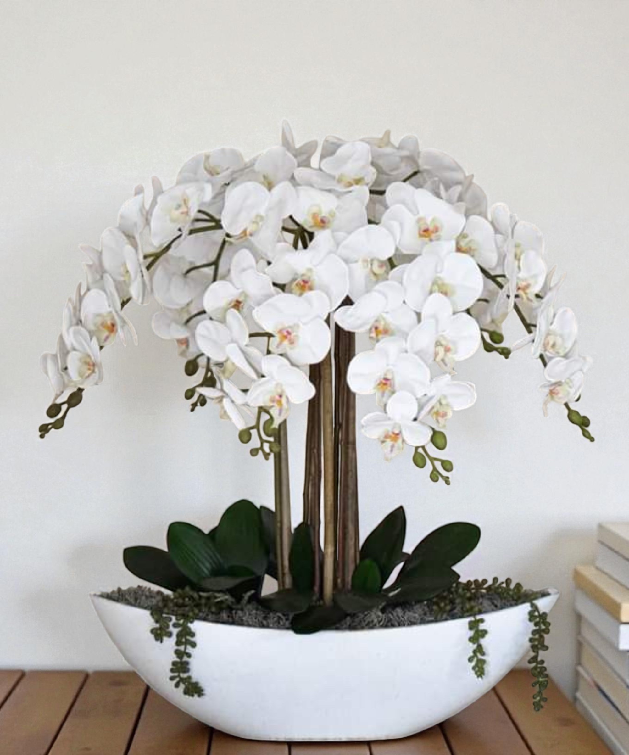 Orchidėja Lėja - Image 3