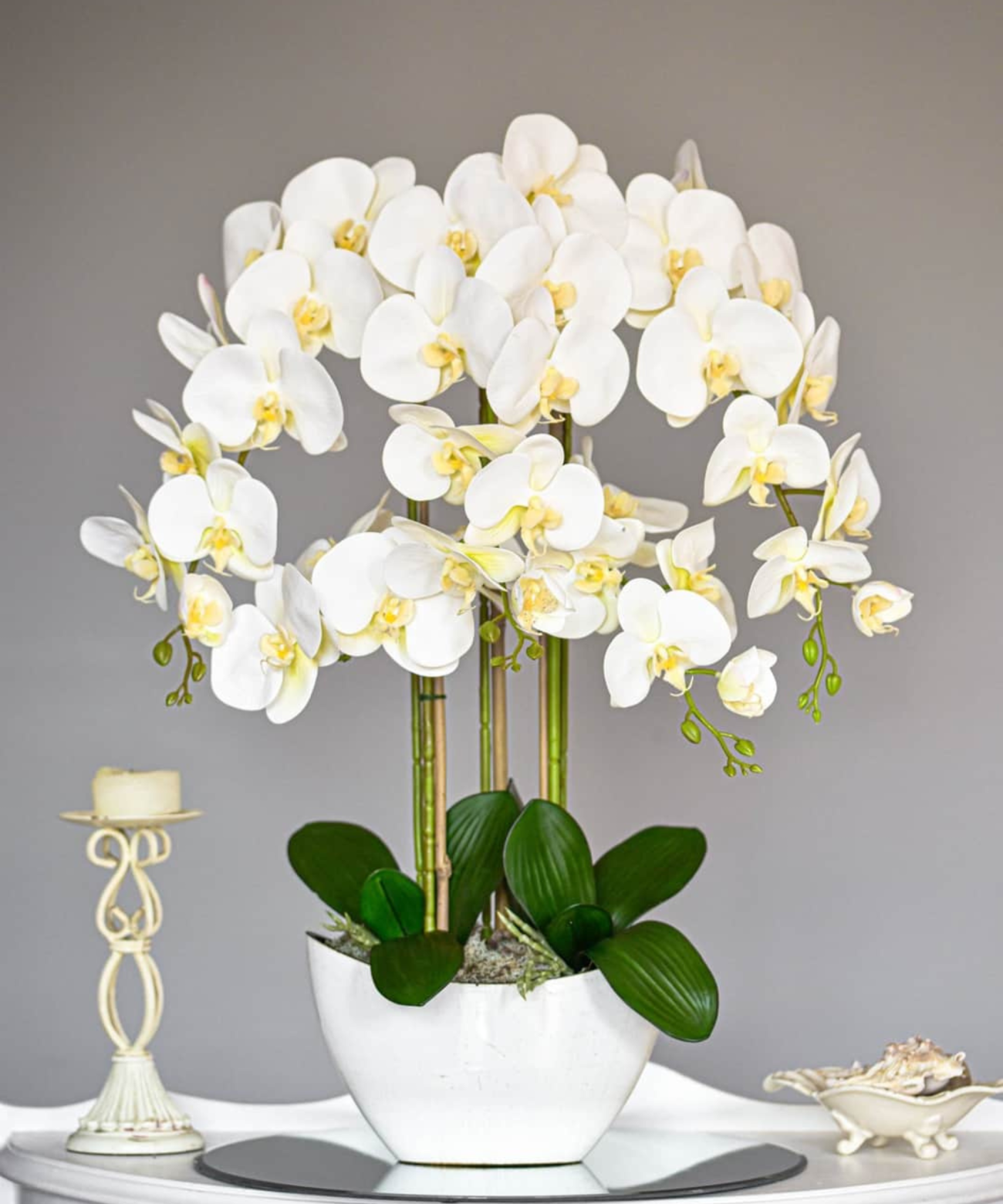 Orchidėja Emilija