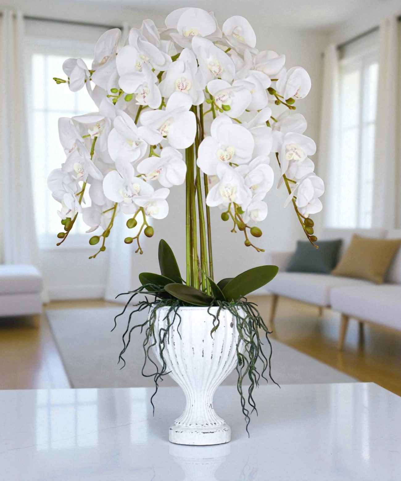 orchidėja Ieva