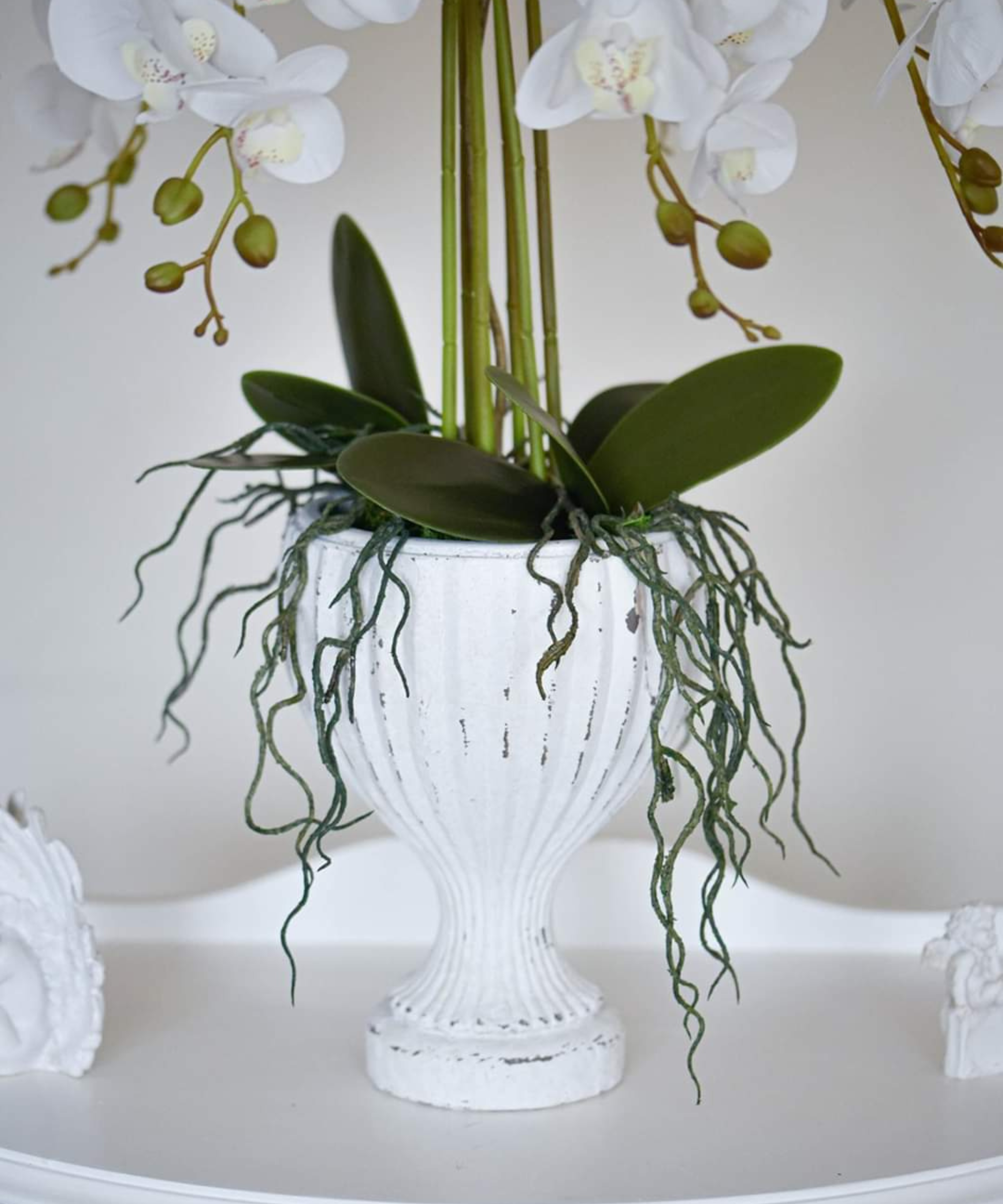 orchidėja Ieva - Image 4