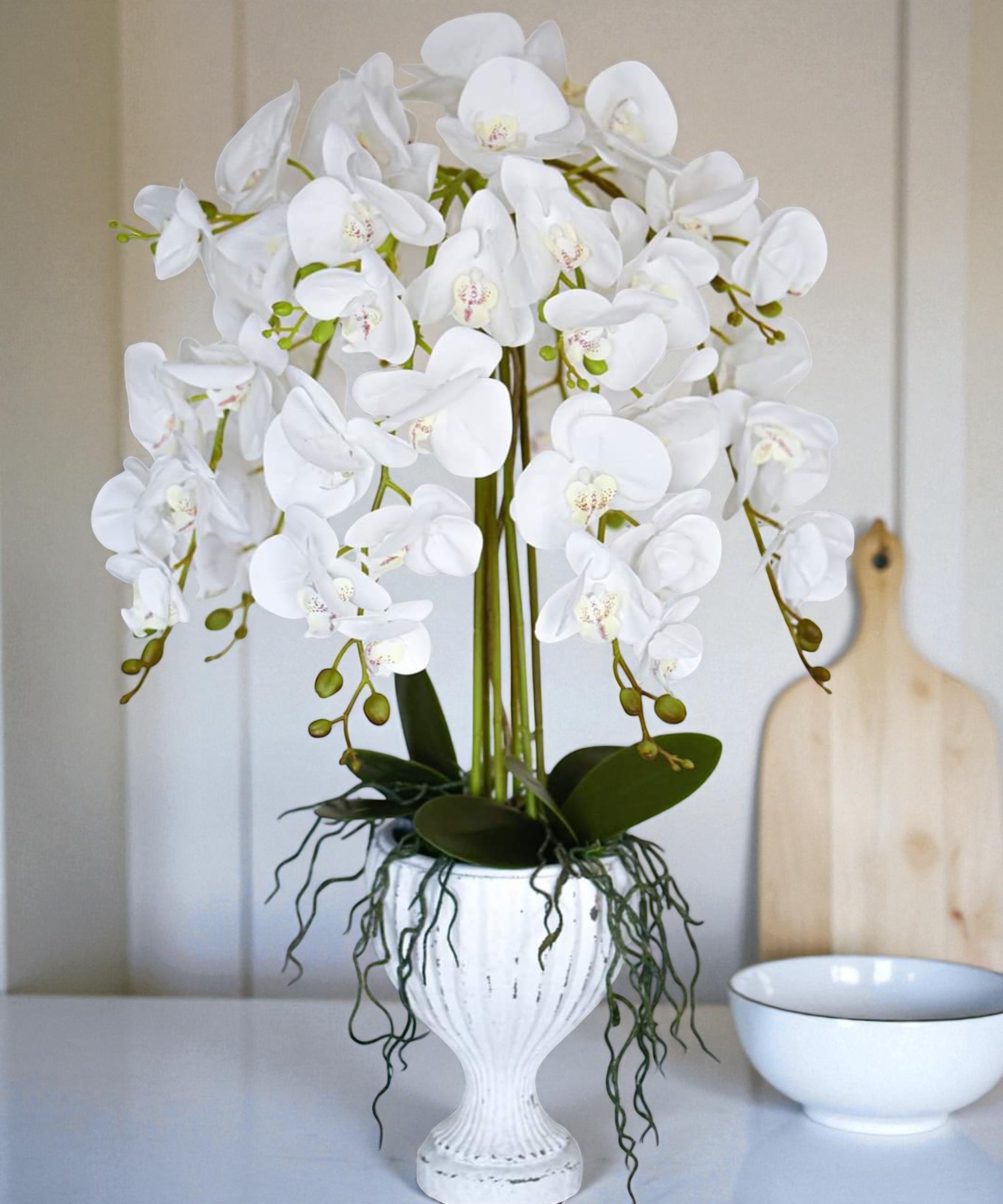 orchidėja Ieva - Image 3