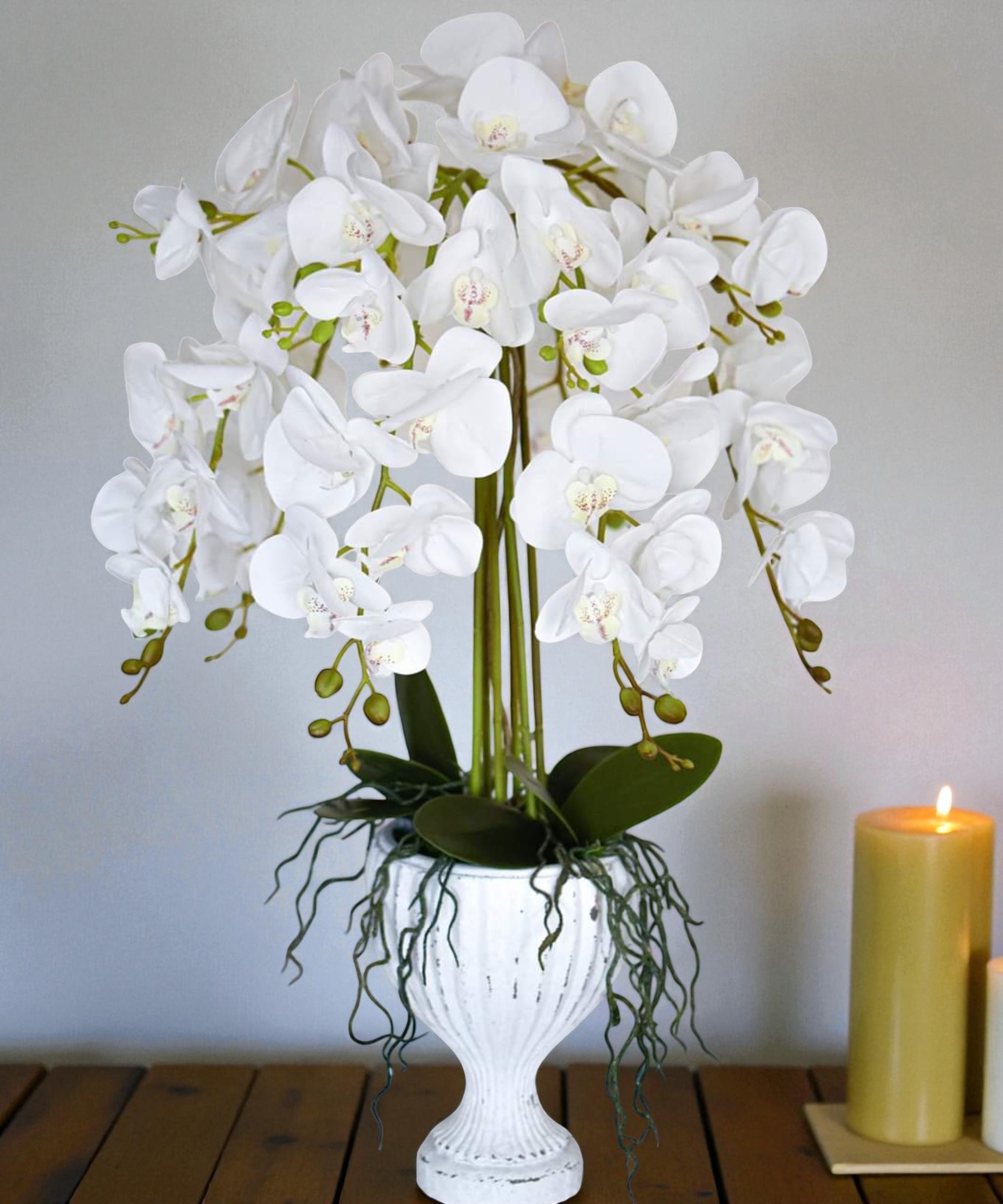 orchidėja Ieva - Image 2