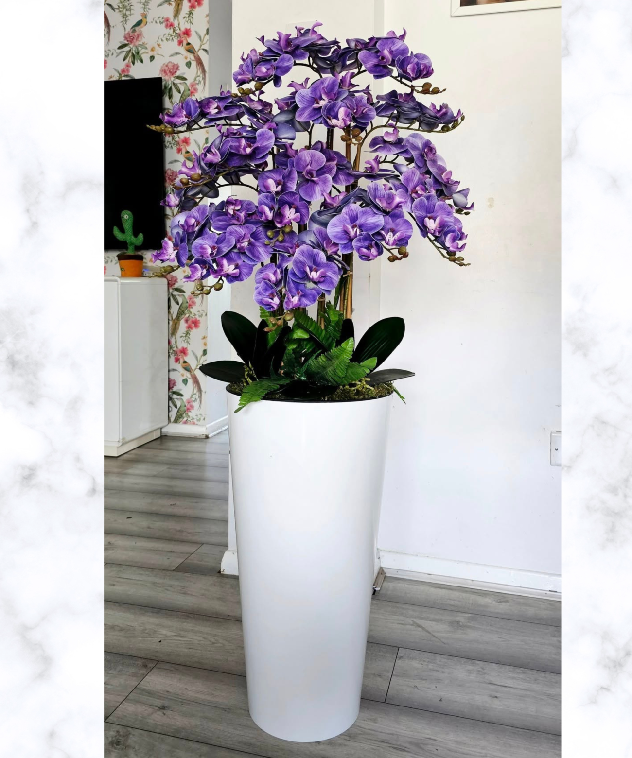 Orchidėja Adrijana