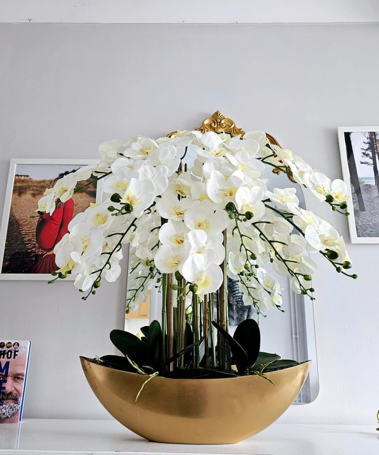 Orchidėja Živilė