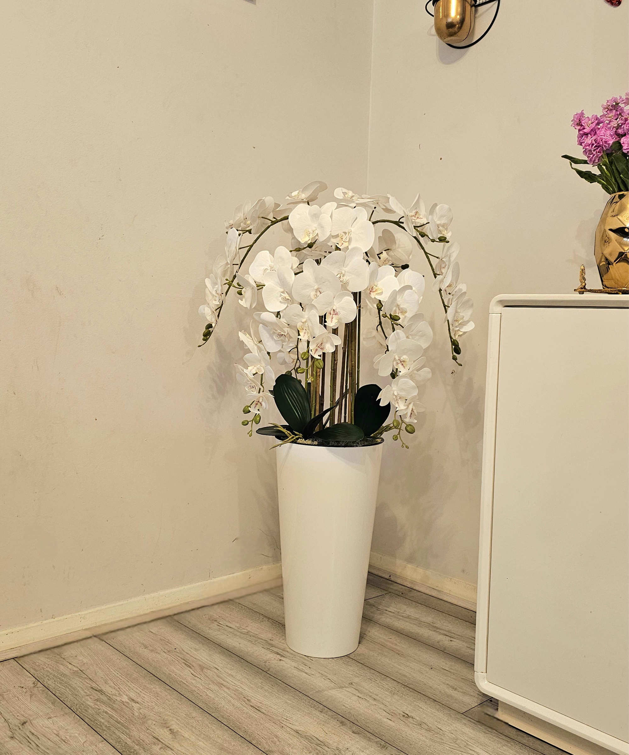 Orchidėja Patricia - Image 2